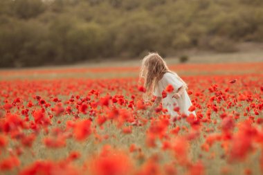 Haşhaş tarlasında güzel bir kız.