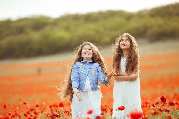 Όμορφες Και Χαρούμενες Αδερφές Στον Τομέα Της Παπαρούνας Κορίτσια Γελούν — Φωτογραφία Αρχείου