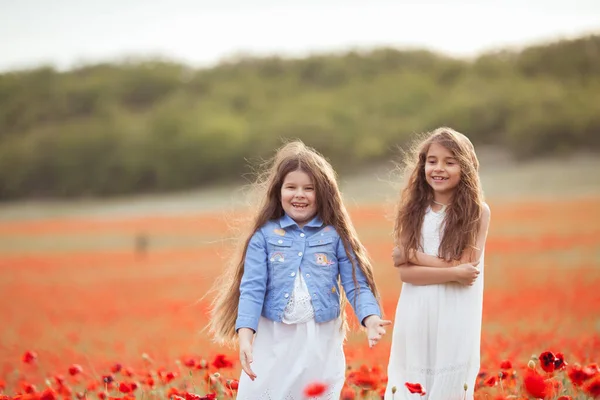 Schöne Und Glückliche Schwestern Mohnfeld Die Mädchen Lachen — Stockfoto