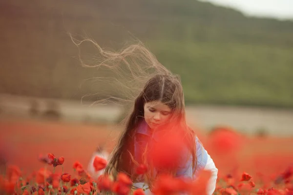 Haşhaş Tarlasında Güzel Bir Kız — Stok fotoğraf