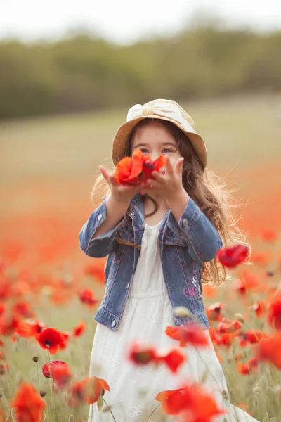 Menina Bonita Campo Papoula Livre Imagens De Bancos De Imagens Sem Royalties