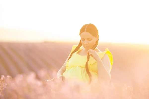 Zwangere Vrouw Lavendel Bloemen Veld Bij Zonsondergang Gele Jurk — Stockfoto