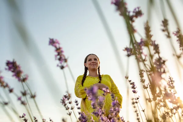 Беременная Женщина Лавандовых Цветочных Полях Закате Желтом Платье — стоковое фото