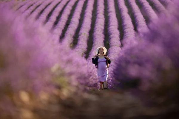 Femme Enceinte Dans Champ Fleurs Lavande Coucher Soleil Robe Violette — Photo