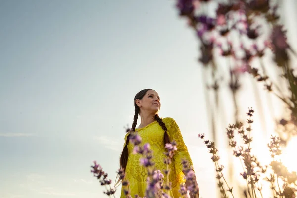 妊娠中の女性でラベンダーの花のフィールドで日没で黄色のドレス ストック画像