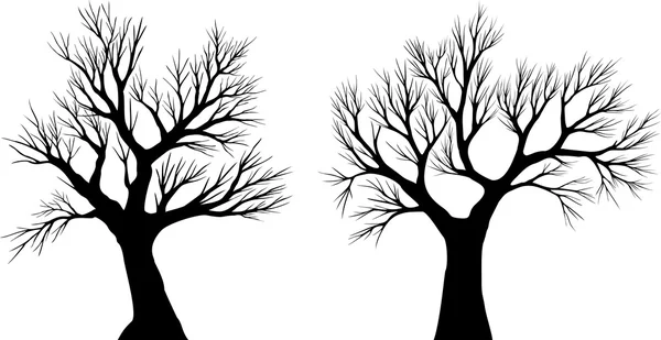 Silueta del árbol — Archivo Imágenes Vectoriales