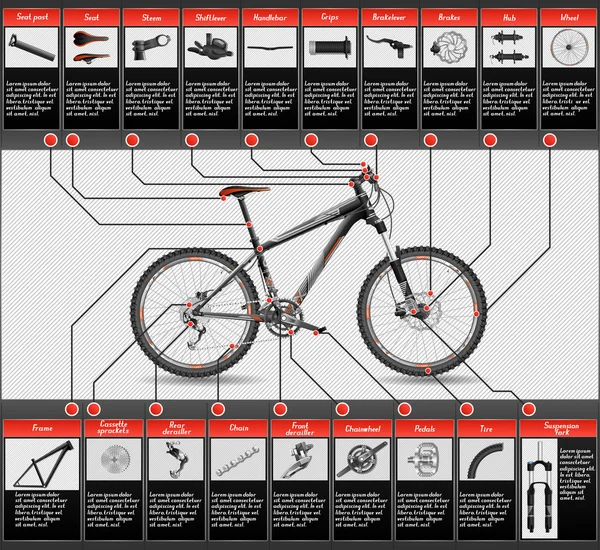 Vysoce detailní schéma hardtail mtb — Stockový vektor