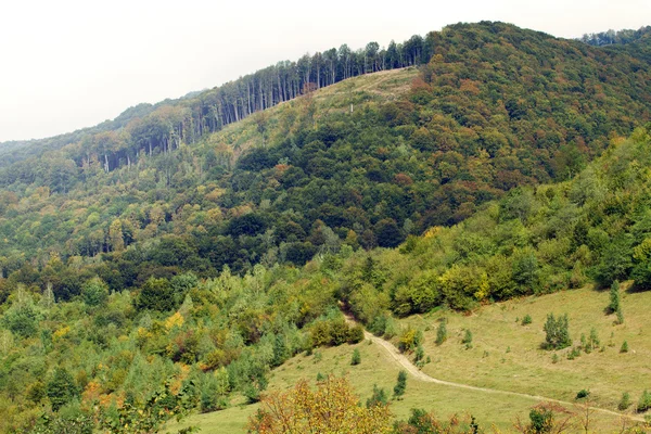 Закарпатська Україна — стокове фото