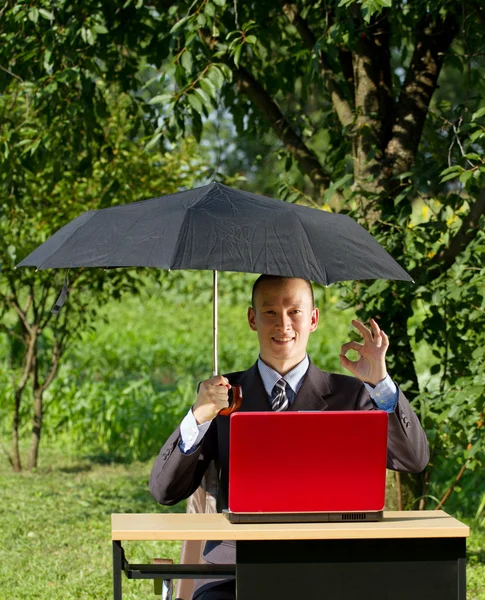 Affärsman som arbetar utomhus — Stockfoto