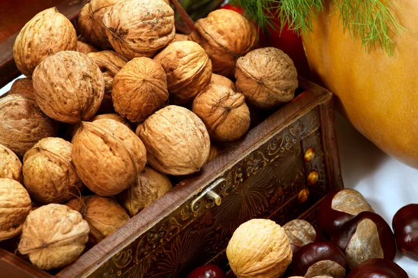 Chest with walnuts — Stock Photo, Image