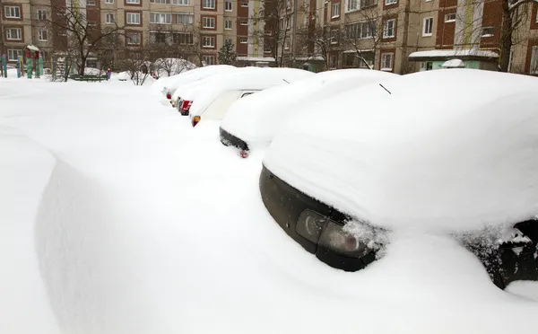 Auto 's bedekt met sneeuw — Stockfoto