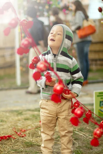 Little Boy With Easter Eggs — Stock Photo, Image