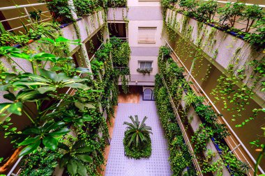 Modern şehirde çevre dostu bir bina. Yapraklı yeşil ağaç dalları ve ısı ve karbondioksiti azaltmak için sürdürülebilir cam bina