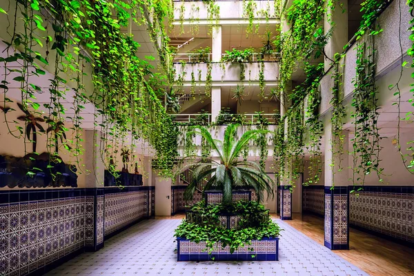 Edificio verde con piante che crescono sulla parete. Ecologia e vita verde in città, concetto di ambiente urbano. Foto Stock