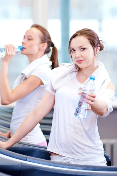 Mujeres bebiendo agua después de los deportes — Foto de Stock