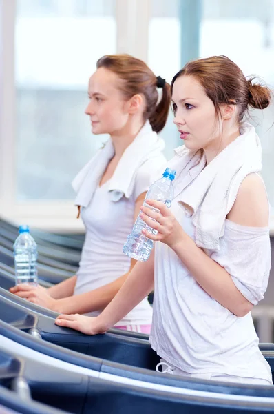 Women drinking water after sports — Stock Photo, Image