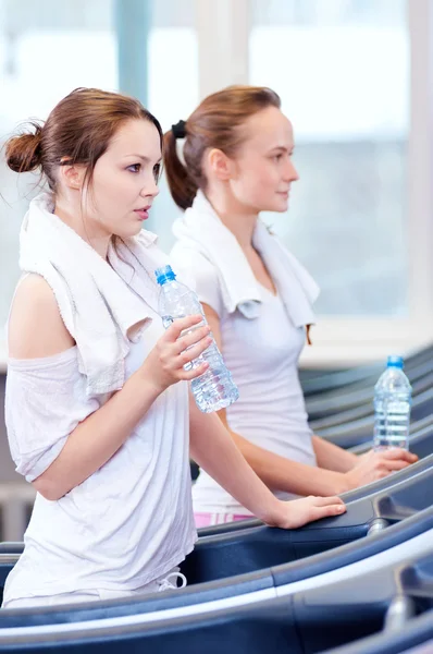 Mujeres bebiendo agua después de los deportes — Foto de Stock