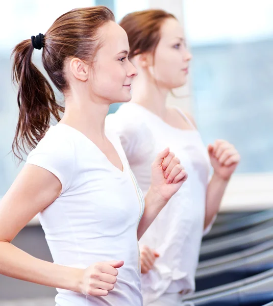 Twee jonge sportieve vrouwen draaien op machine — Stockfoto