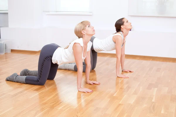 Women doing yoga exercise at gym — Stok fotoğraf