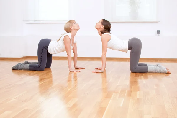 Kvinnor gör yoga träna på gym — Stockfoto