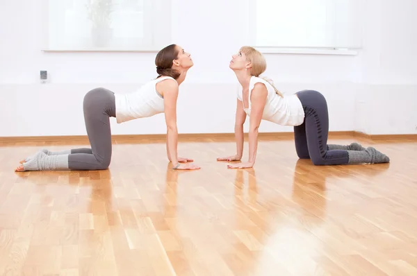 Femmes faisant de l'exercice de yoga au gymnase — Photo