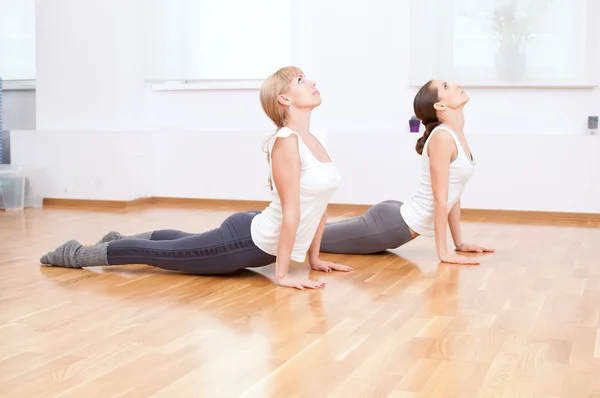 Women doing yoga exercise at gym — Stok fotoğraf