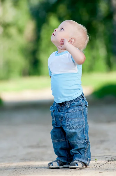 Lykkelig liten gutt i den grønne parken – stockfoto