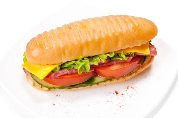 Sandwichs au jambon et fromage — Photo