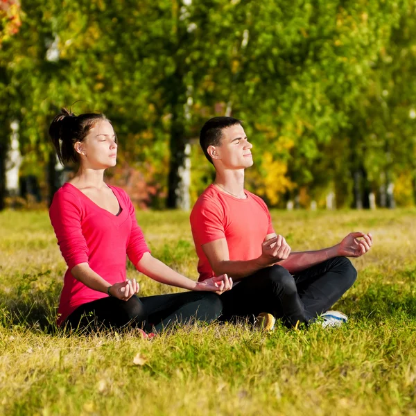 Park yoga yaparken kadın ve kadın — Stok fotoğraf