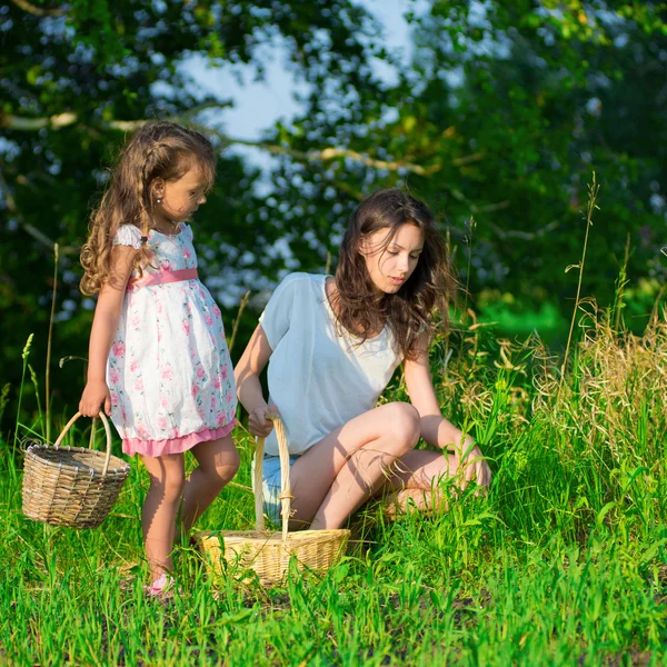 Oogsten van bessen en paddestoelen - mooie meisjes — Stockfoto