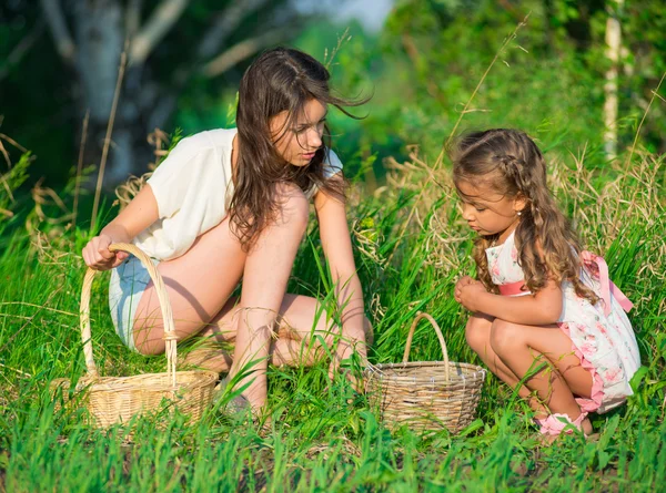 Raccolti di bacche e funghi - belle ragazze — Foto Stock