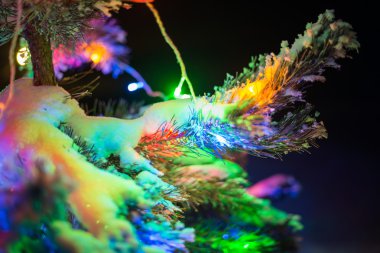 doğal Noel ağacı kaplı kar