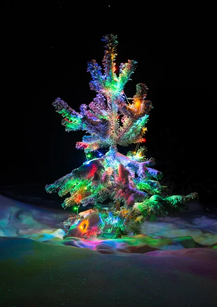 Kerstboom gedekt sneeuw — Stockfoto