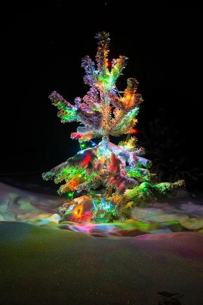 Luzes brilhantes de um Natal natural — Fotografia de Stock