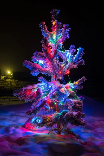 Doğal bir Noel ışıkları parlayan — Stok fotoğraf