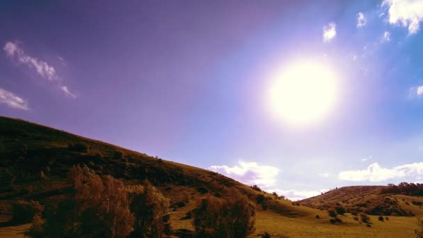 4K UHD山の牧草地は夏にタイムラプスします。雲、木、緑の草、太陽光線の動き. — ストック動画