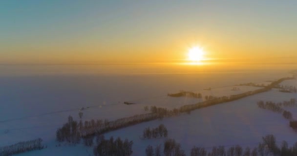 Vue aérienne par drone du paysage hivernal froid avec champ arctique, arbres couverts de neige verglaçante et rayons du soleil matinaux au-dessus de l'horizon. — Video