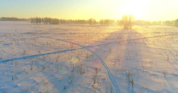 Αεροφωτογραφία drone του κρύου χειμερινού τοπίου με αρκτικό πεδίο, δέντρα καλυμμένα με παγωμένο χιόνι και ακτίνες του ήλιου το πρωί πάνω από τον ορίζοντα. — Αρχείο Βίντεο