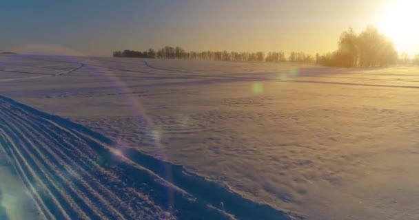 北極のフィールドと寒い冬の風景の空中ドローンビュー、水平線上に霜雪と朝の太陽光線で覆われた木. — ストック動画