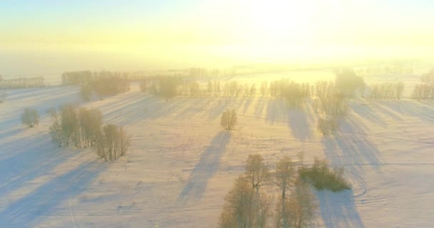 Luftdrone udsigt over kolde vinter landskab med arktisk mark, træer dækket med frost sne og morgen solstråler over horisonten. – Stock-video
