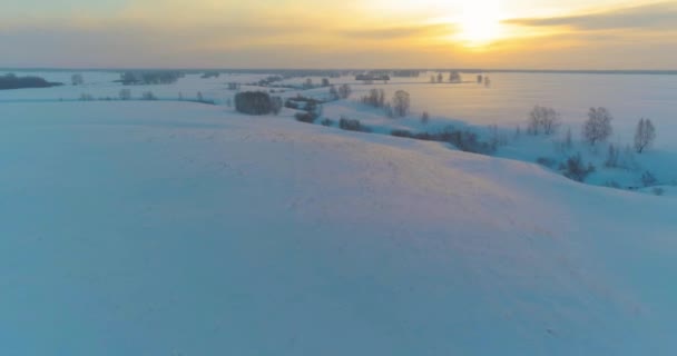 Luftaufnahme der kalten arktischen Feldlandschaft, Bäume mit Frostschnee, Eisfluss und Sonnenstrahlen über dem Horizont. Extrem niedrige Temperaturen. — Stockvideo