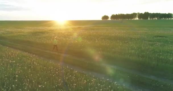 Sportos gyerek fut át a zöld búzamezőn. Esti sportedzések a vidéki réten. A boldog gyermekkor egészséges életmód. Sugárirányú mozgás, napsugarak és fű. — Stock videók