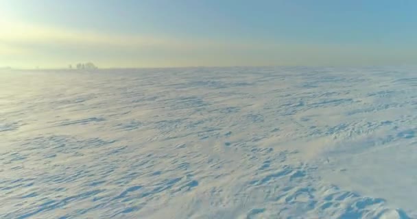 Vista aérea da paisagem fria inverno campo ártico, árvores cobertas com neve geada, rio de gelo e raios de sol sobre o horizonte. Tempo extremo de baixa temperatura. — Vídeo de Stock