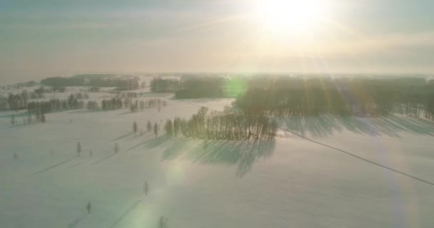 Αεροφωτογραφία του παγωμένου χειμερινού τοπίου αρκτικό πεδίο, δέντρα καλυμμένα με παγωμένο χιόνι, παγωμένο ποτάμι και ακτίνες του ήλιου πάνω από τον ορίζοντα. Ακραίος καιρός χαμηλής θερμοκρασίας. — Αρχείο Βίντεο