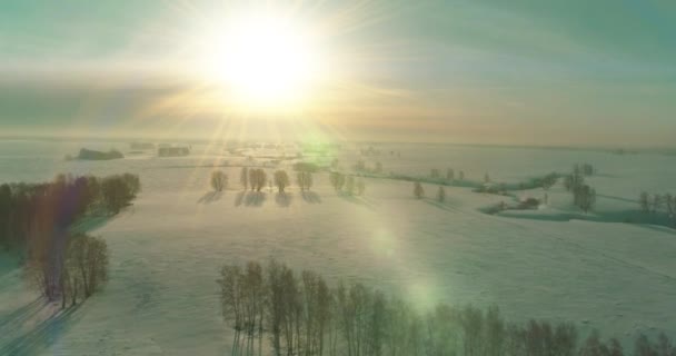 Flygfoto av kallt vinterlandskap arktiskt fält, träd täckta med frost snö, isälv och solstrålar över horisonten. Extremt låg temperatur väder. — Stockvideo