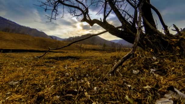 Tiden förflyter av dödsträd och torrt gult gräs vid bergslandskapet med moln och solstrålar. Horisontella skjutreglage — Stockvideo