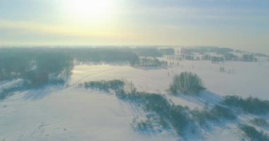 Soğuk kış manzarası kutup bölgesi, karla kaplı ağaçlar, ufukta buz nehri ve güneş ışınları. Aşırı düşük sıcaklık havası.