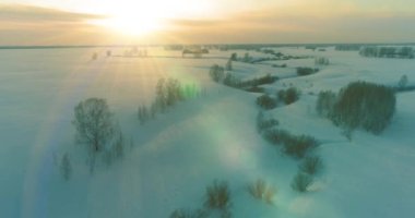 Soğuk arktik alan manzarası, karlı ağaçlar, buz nehri ve ufukta güneş ışınları. Aşırı düşük sıcaklık havası.