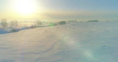 Soğuk kış manzarası kutup bölgesi, karla kaplı ağaçlar, ufukta buz nehri ve güneş ışınları. Aşırı düşük sıcaklık havası.