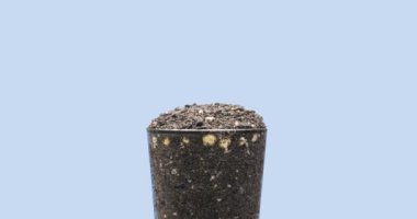 Taze fasulye büyüyen makro zaman atlaması. Tomurcuklanma ve minik bezelye yapraklarının büyümesi. Sağlıklı vejetaryen gıda konsepti. Motorlu panoramik ve masa rotasyonu hareketi. Alfa maskesi hazır..